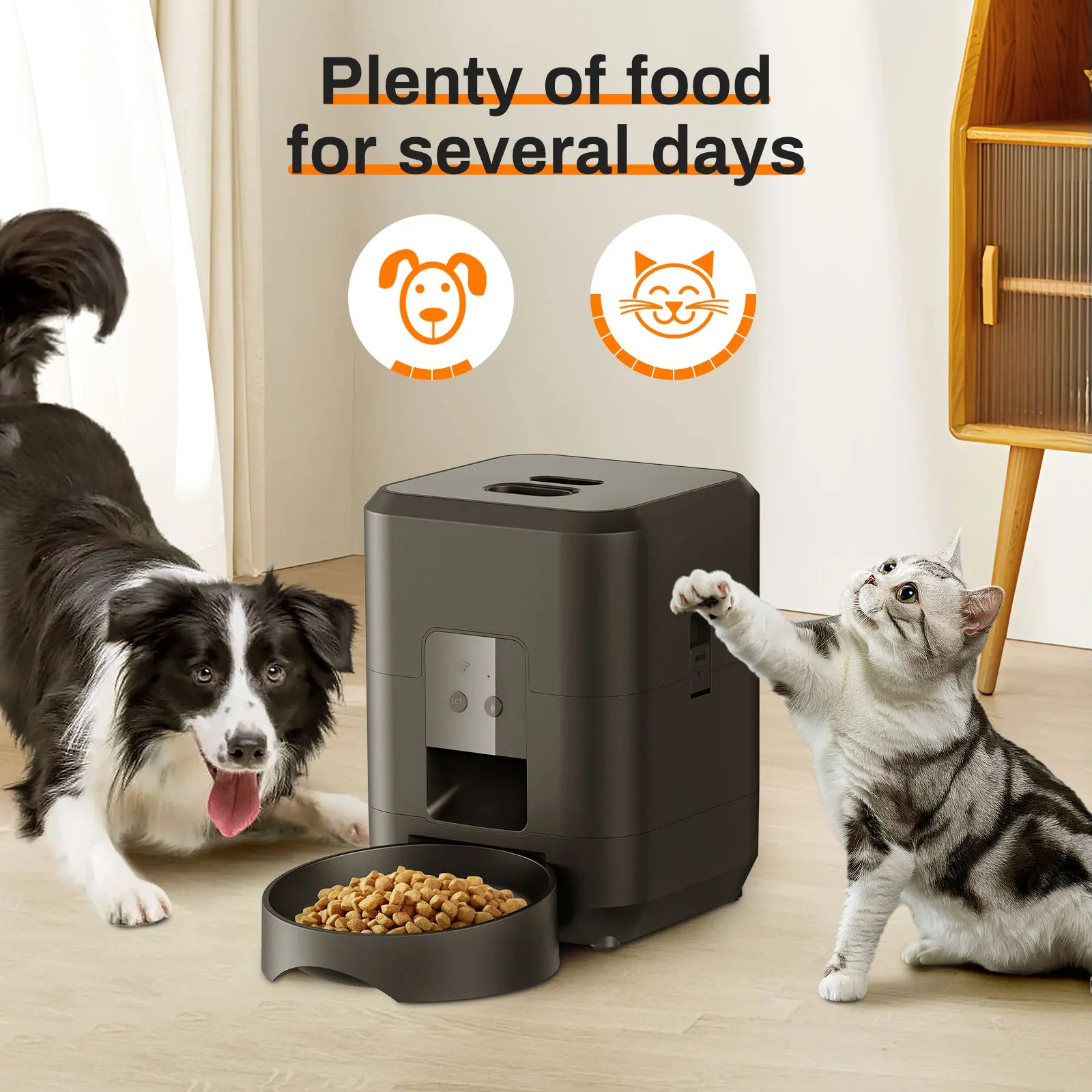 Smart Feeder